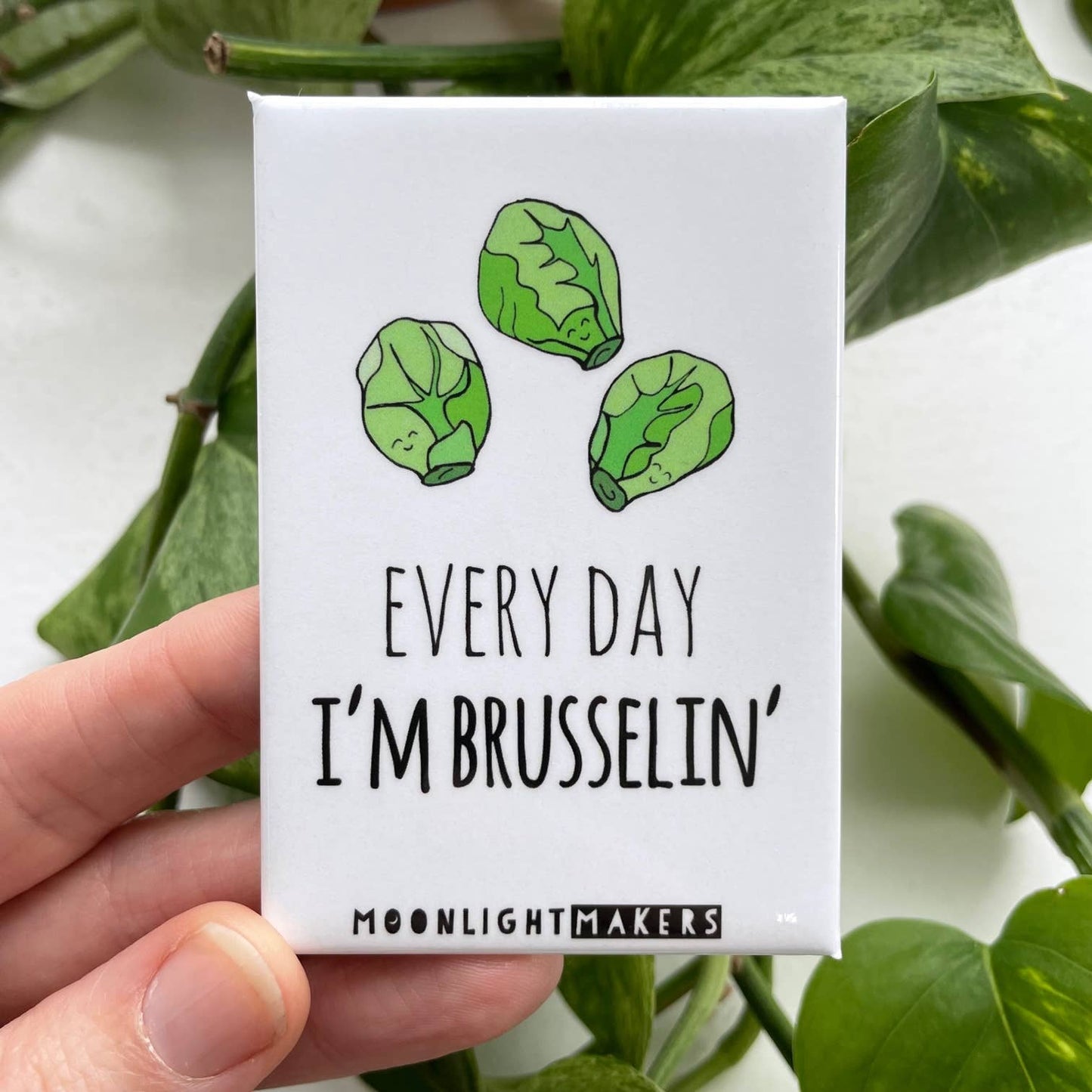 Every Day I'm Brusselin' - Funny Magnets - CLOSEOUT SALE