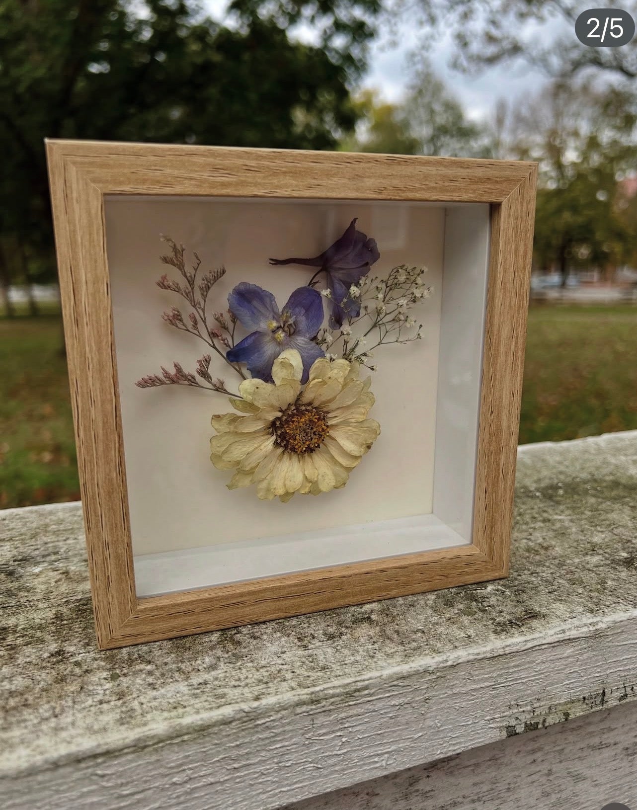 Real Flowers Shadow Box