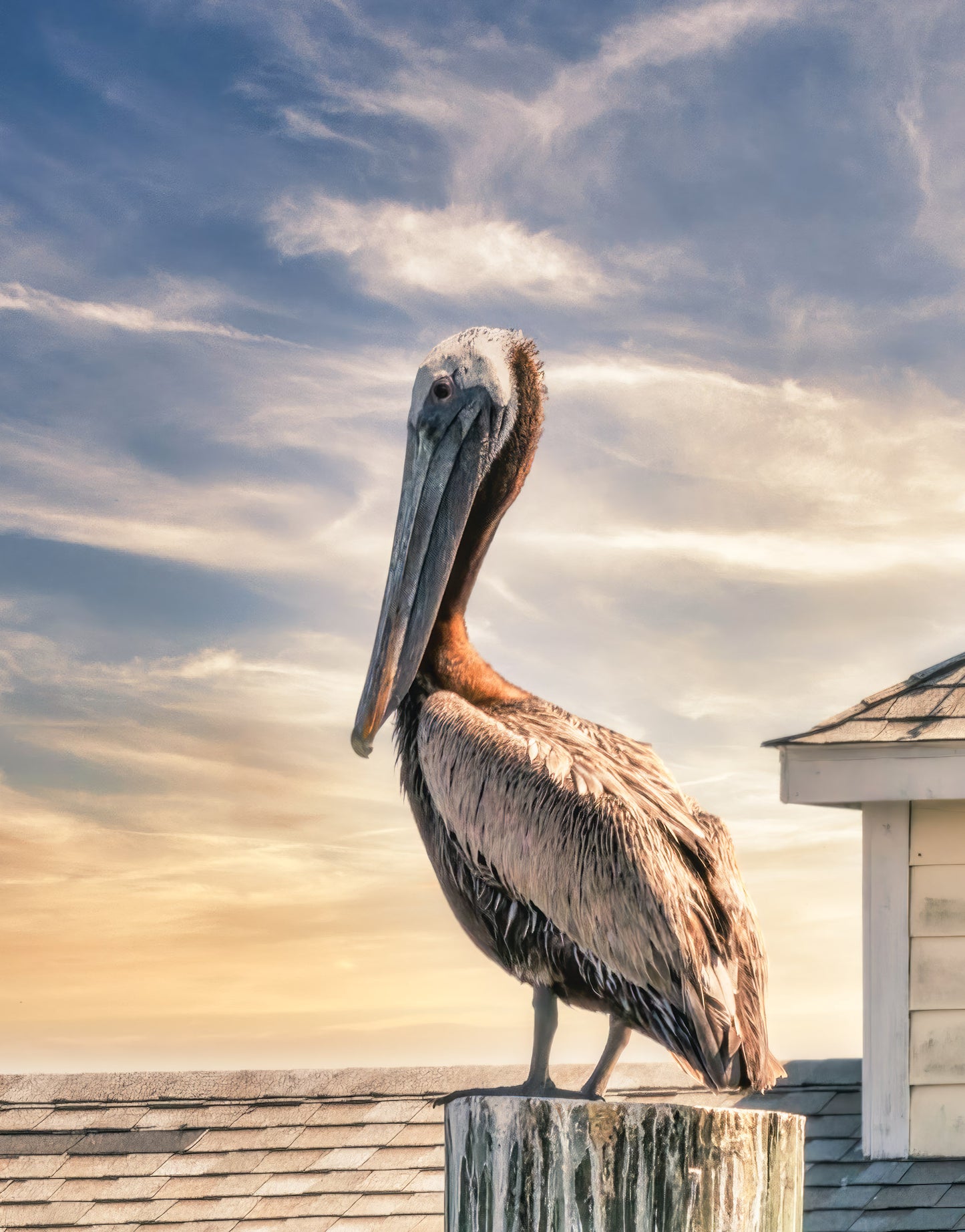 OBX Pixels 11x14 Matted Prints