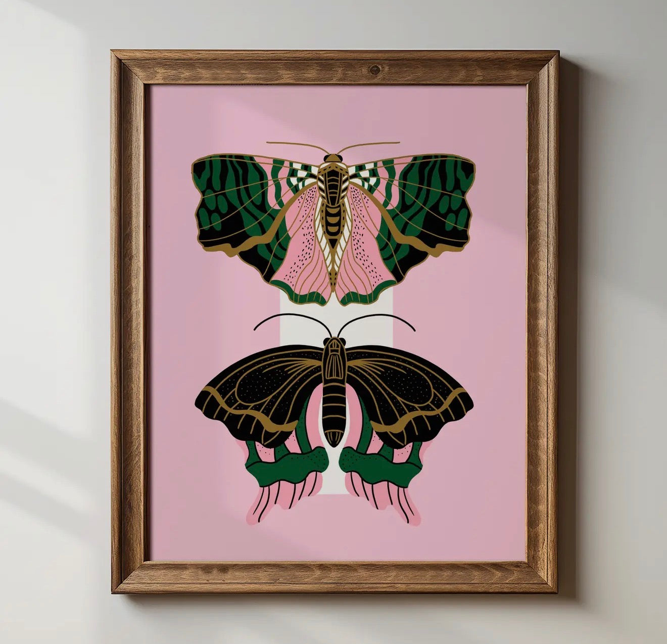 Illustrations by Tara Reed