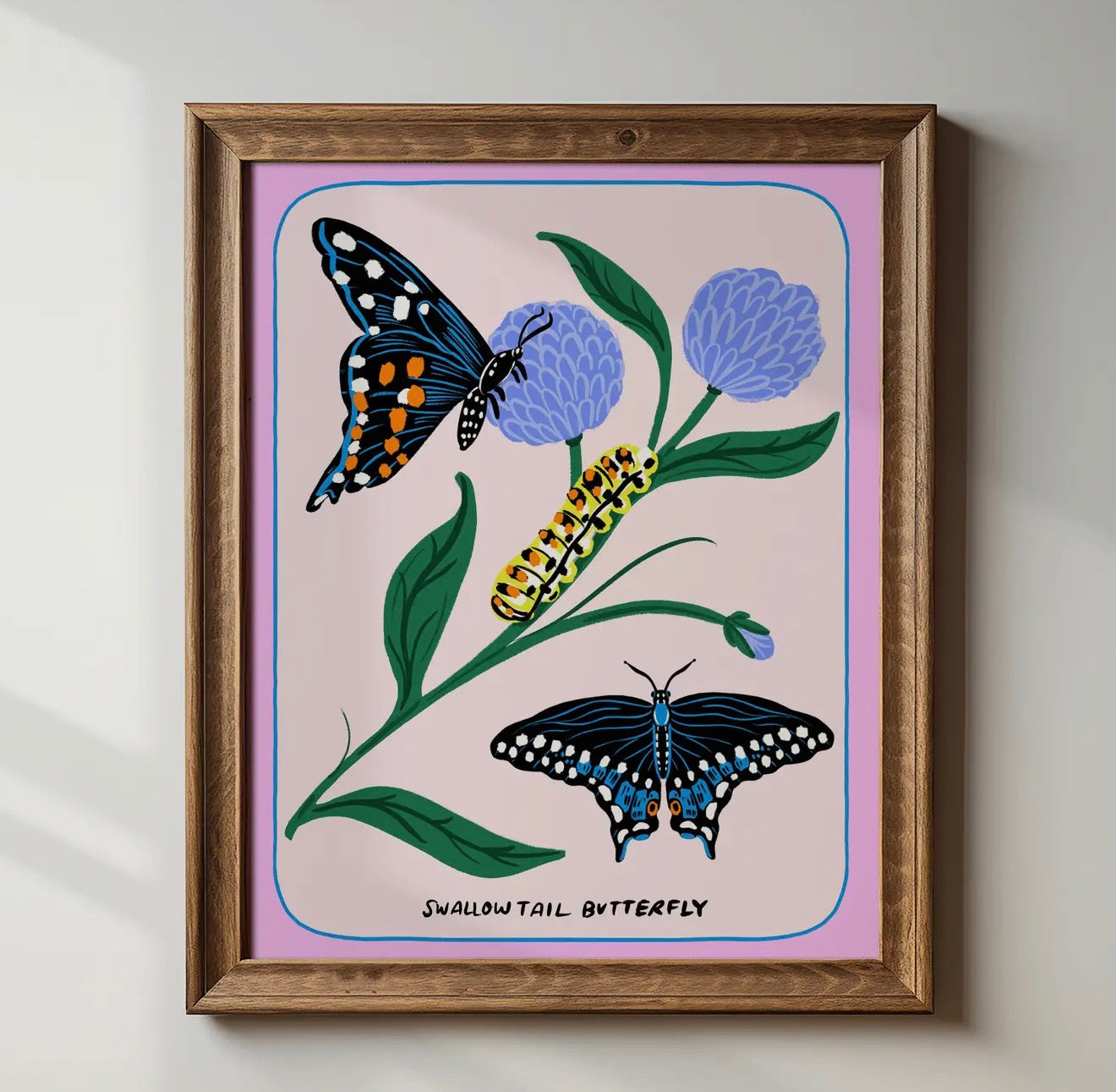 Illustrations by Tara Reed