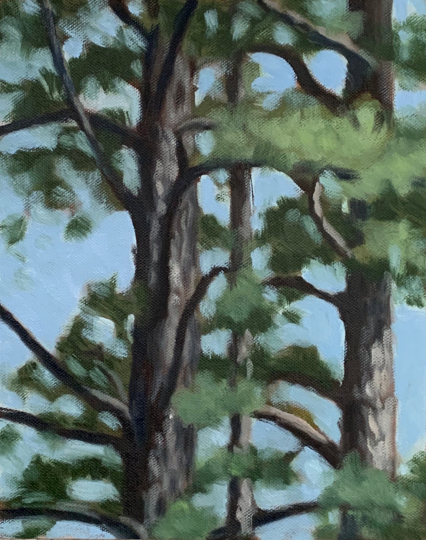8x10 Tom Mather Original Oil Paintings