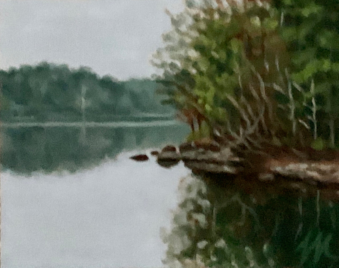 8x10 Tom Mather Original Oil Paintings
