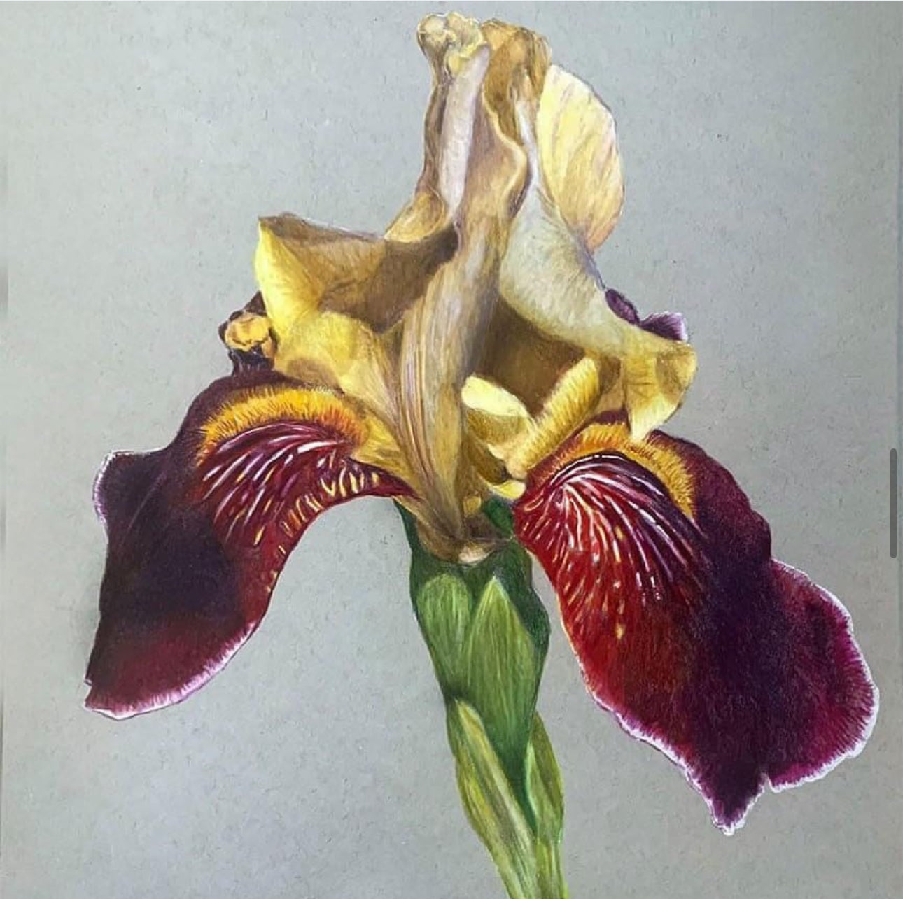Cathy Boytos Matte Giclee Prints 11x14