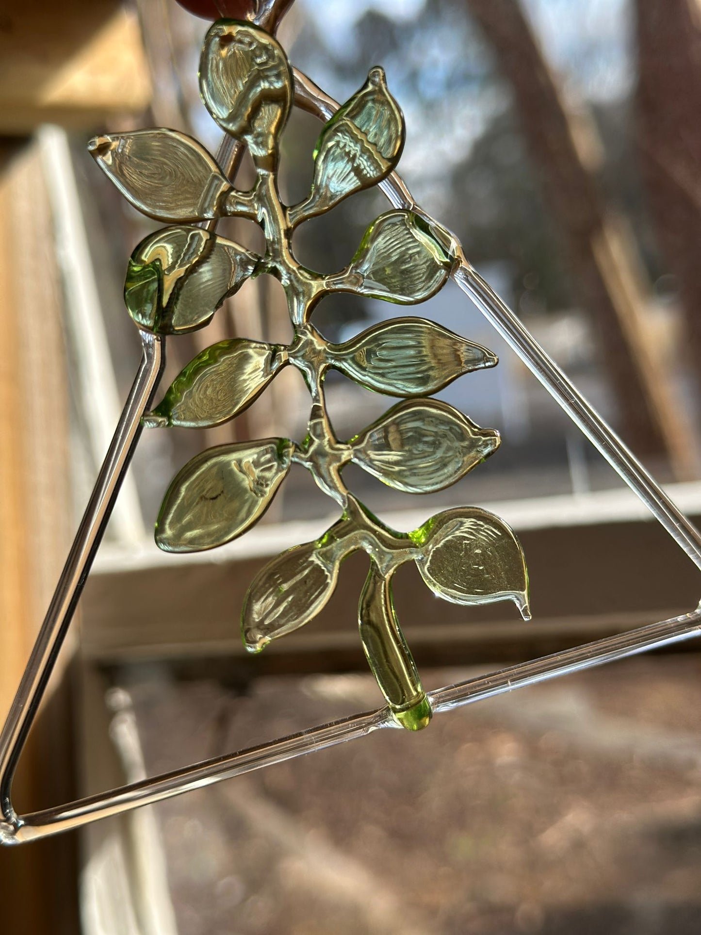 Hanging Framework Fern