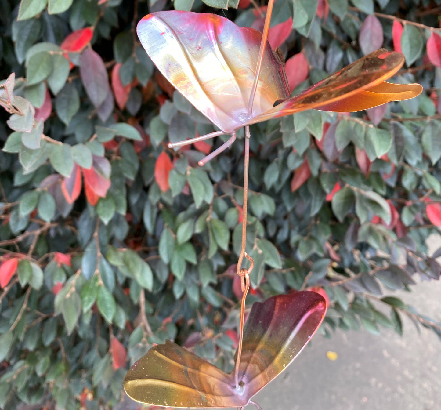 5 Butterfly Chain