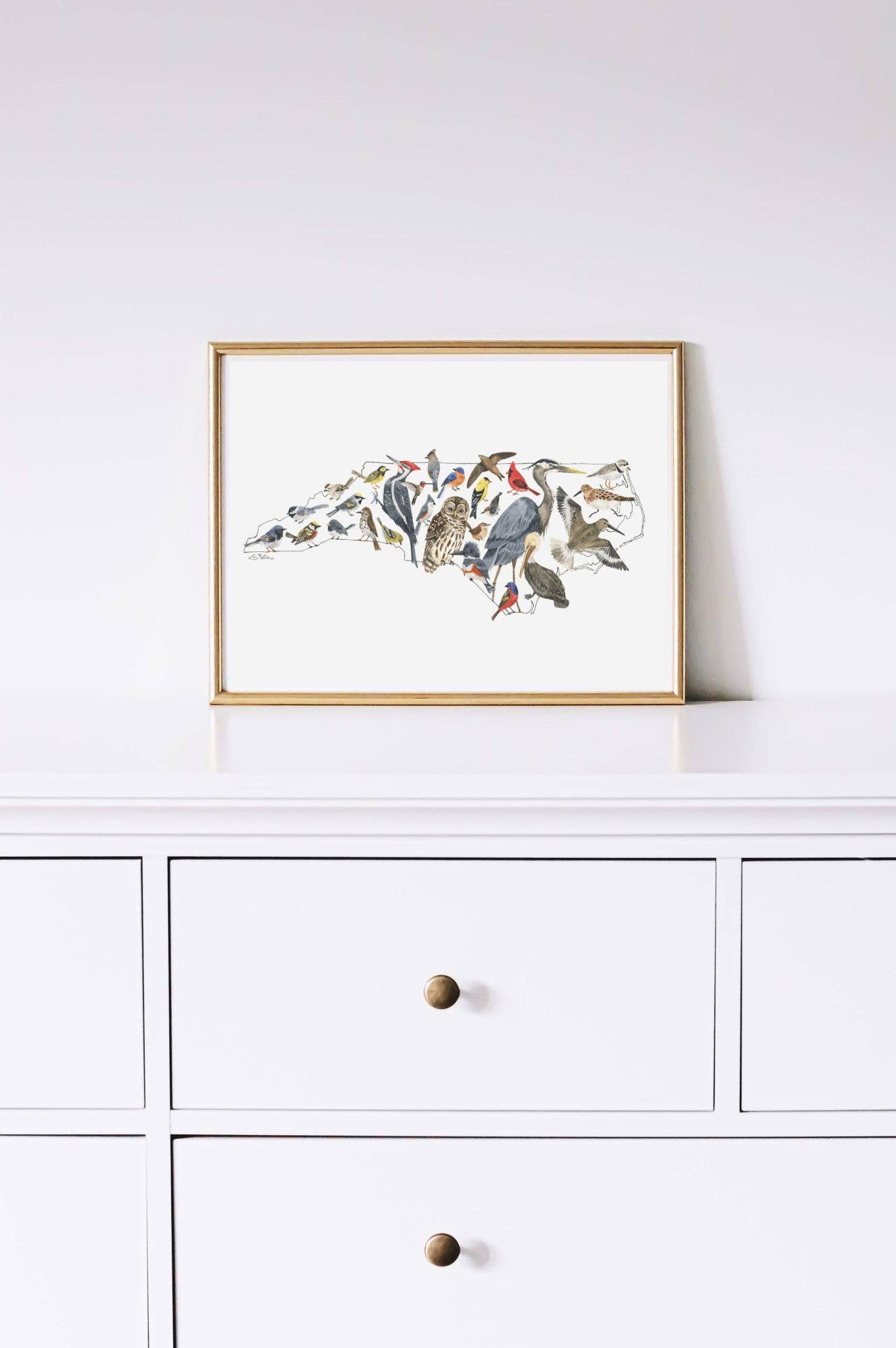 North Carolina Birds watercolor art print