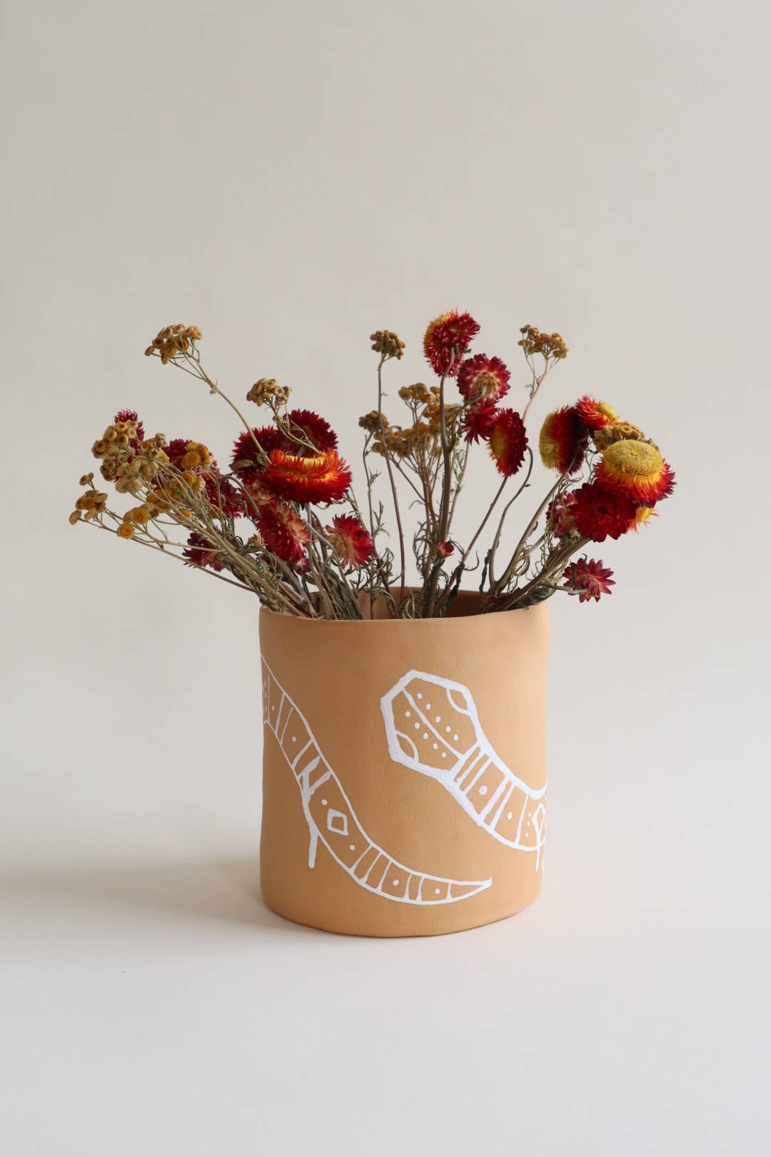Snake Planter