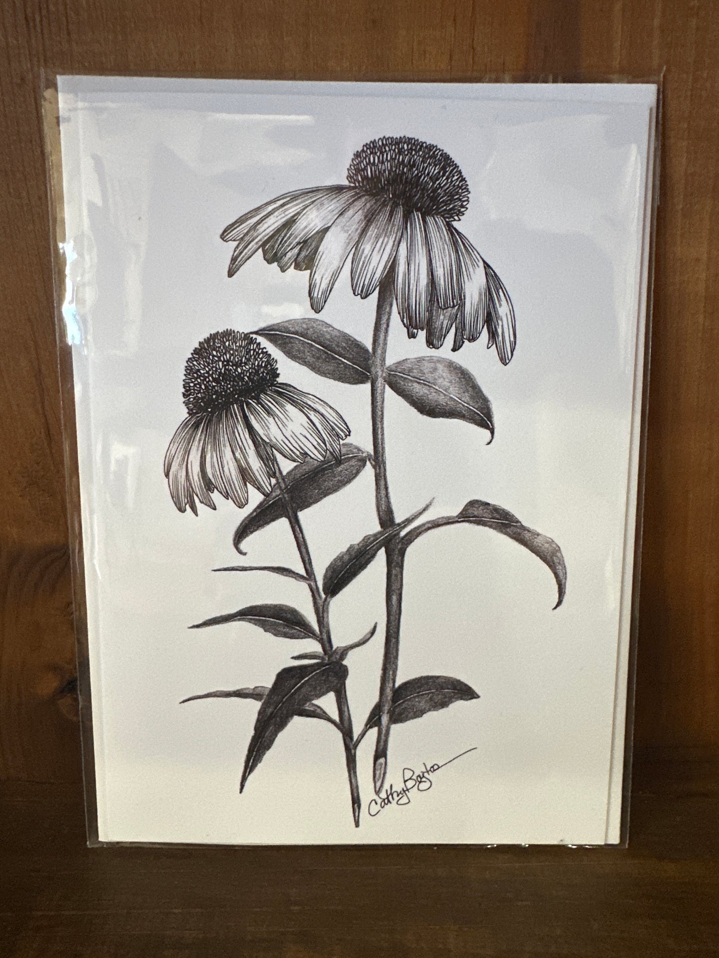 Black and White Botanical Cards