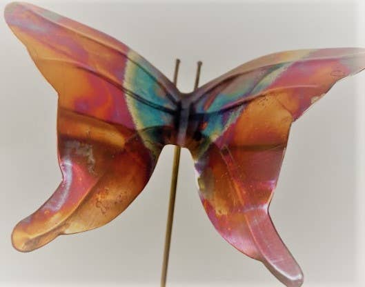 Small Butterfly