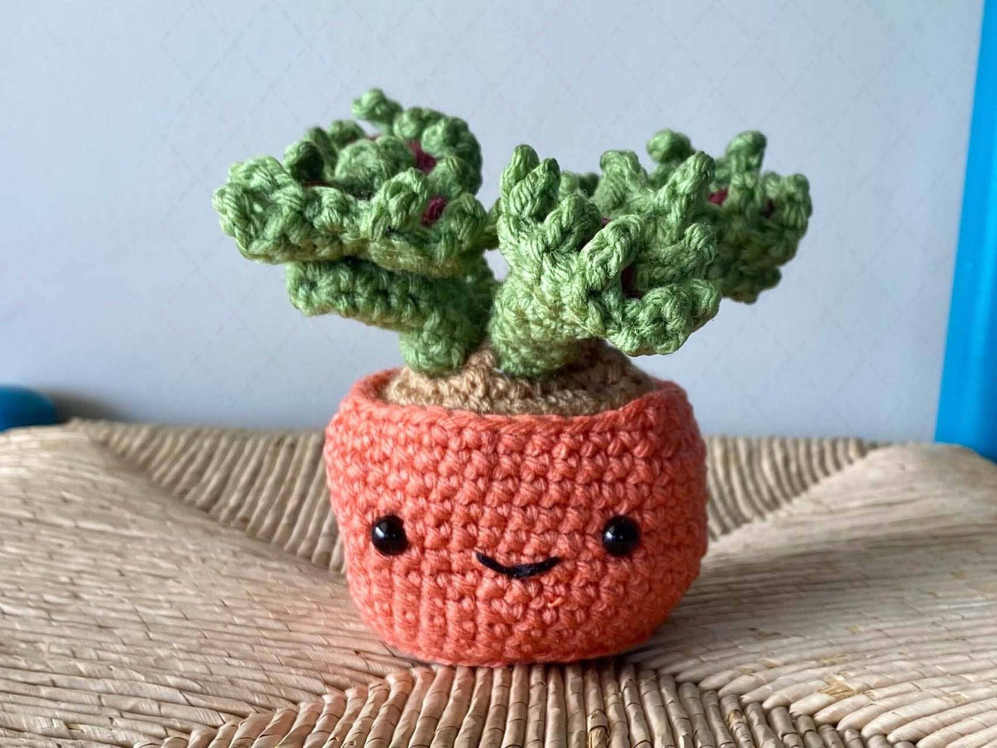 Crochet Succulent Plant, Amigurumi - Snake Plant Design