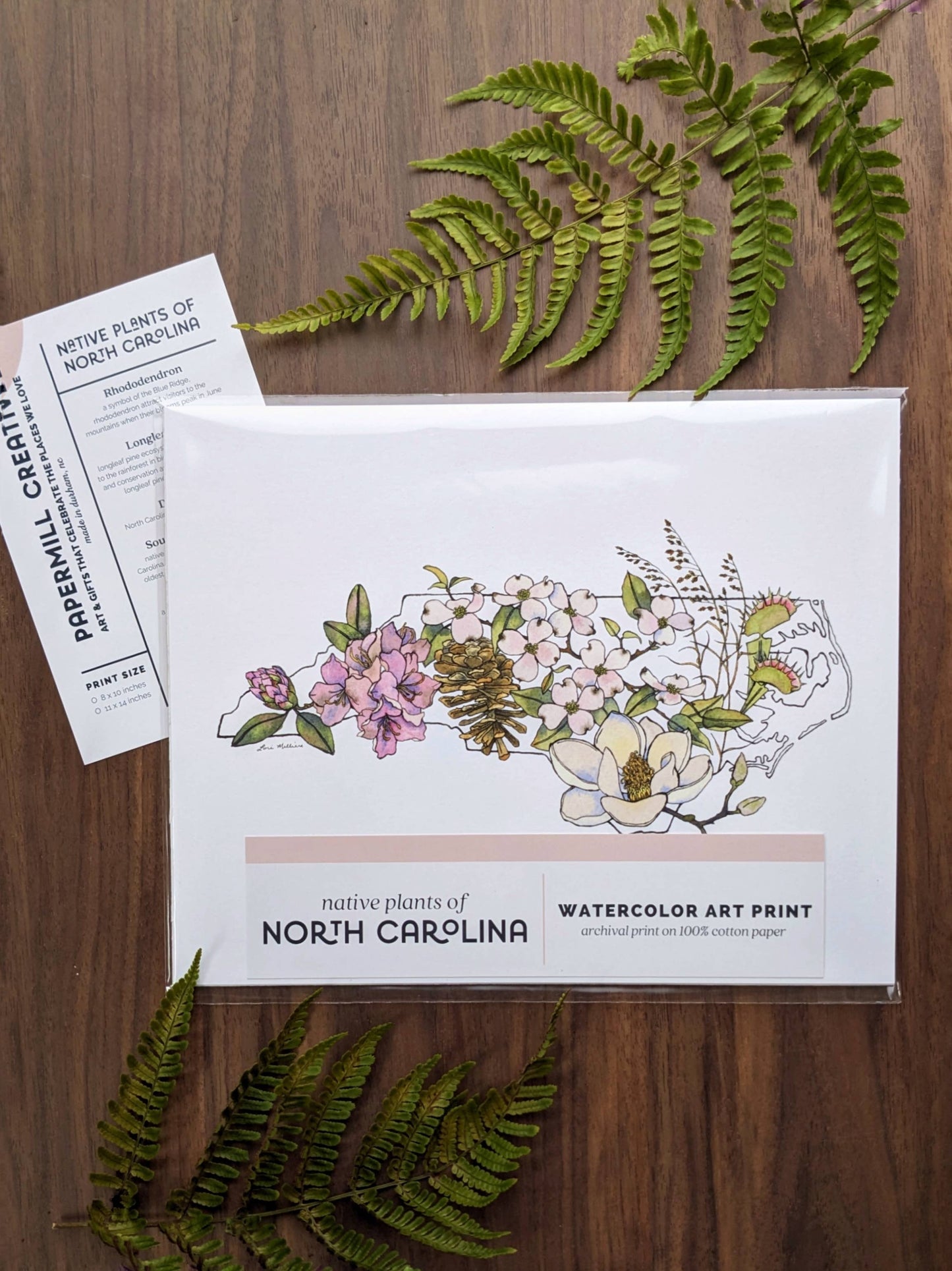 North Carolina Native Plants watercolor art print