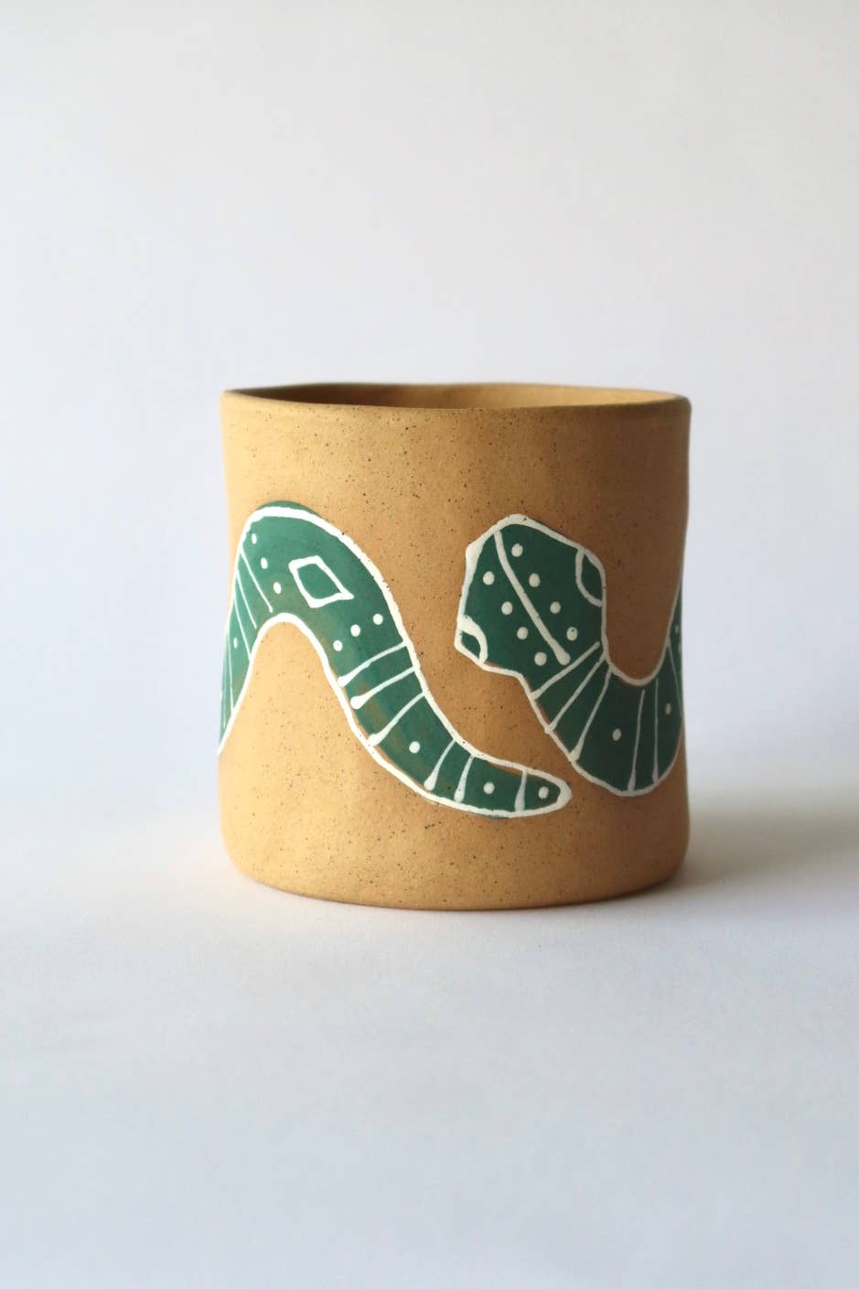 Colorful Snake Planter  