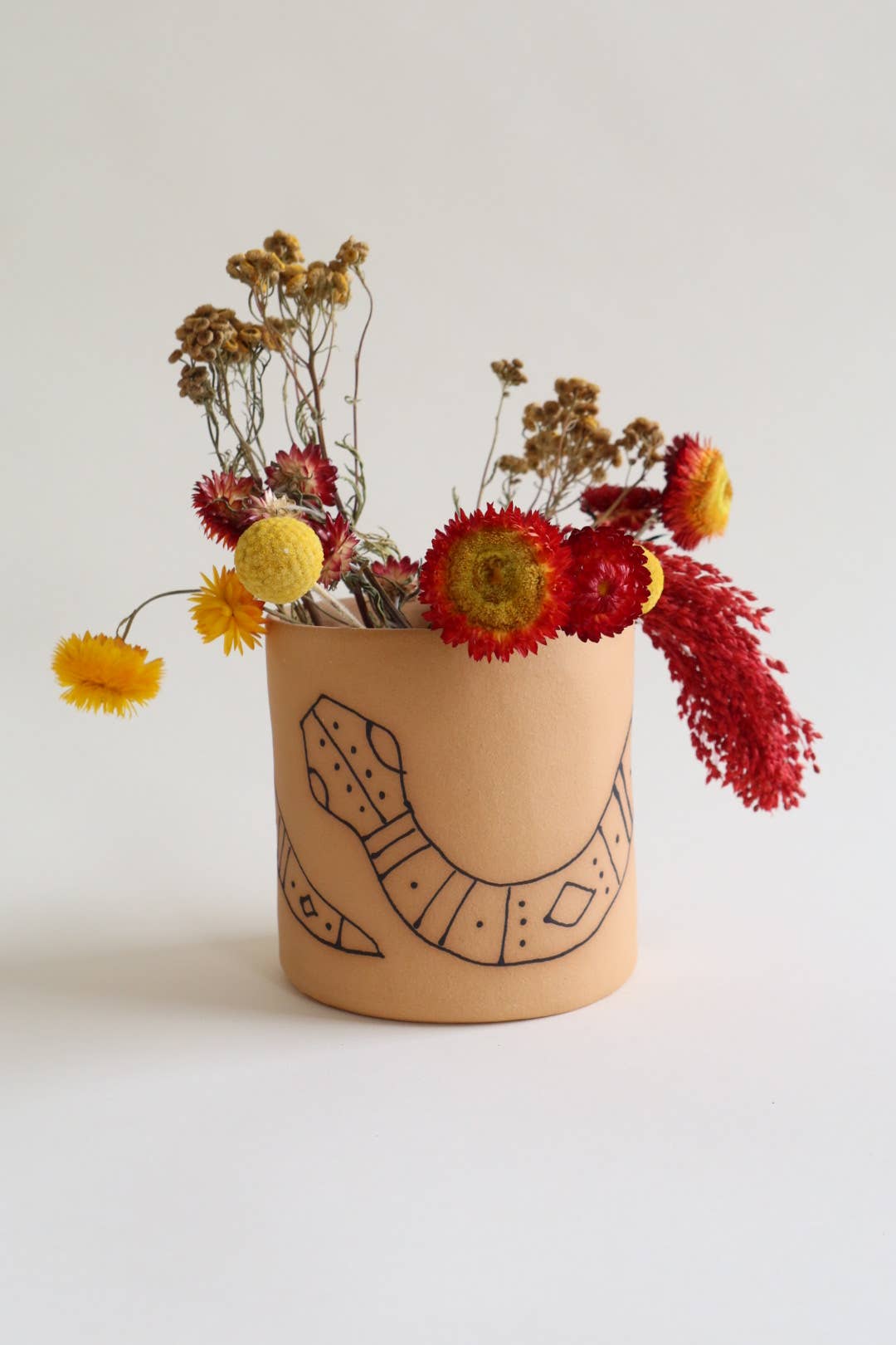 Snake Planter 