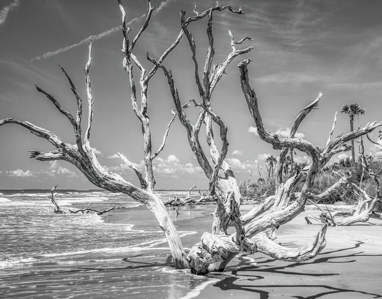 OBX Pixels 11x14 Matted Prints