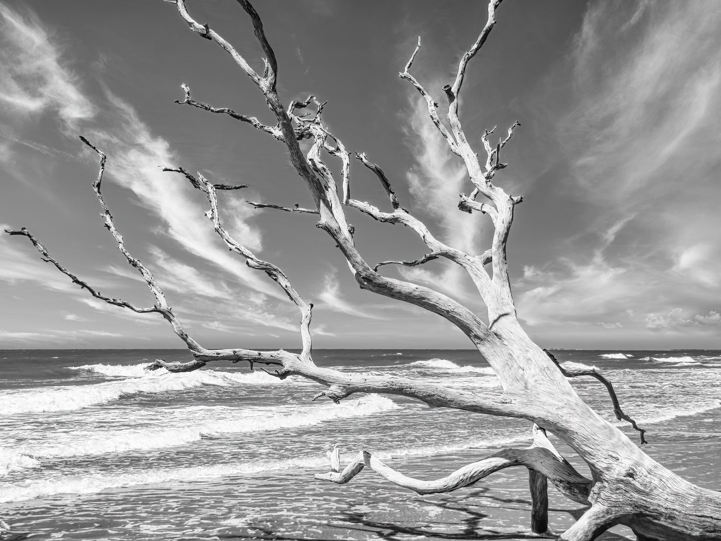 OBX Pixels 11x14 Matted Prints