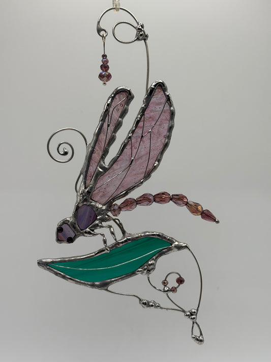Stained Glass Dragonflies