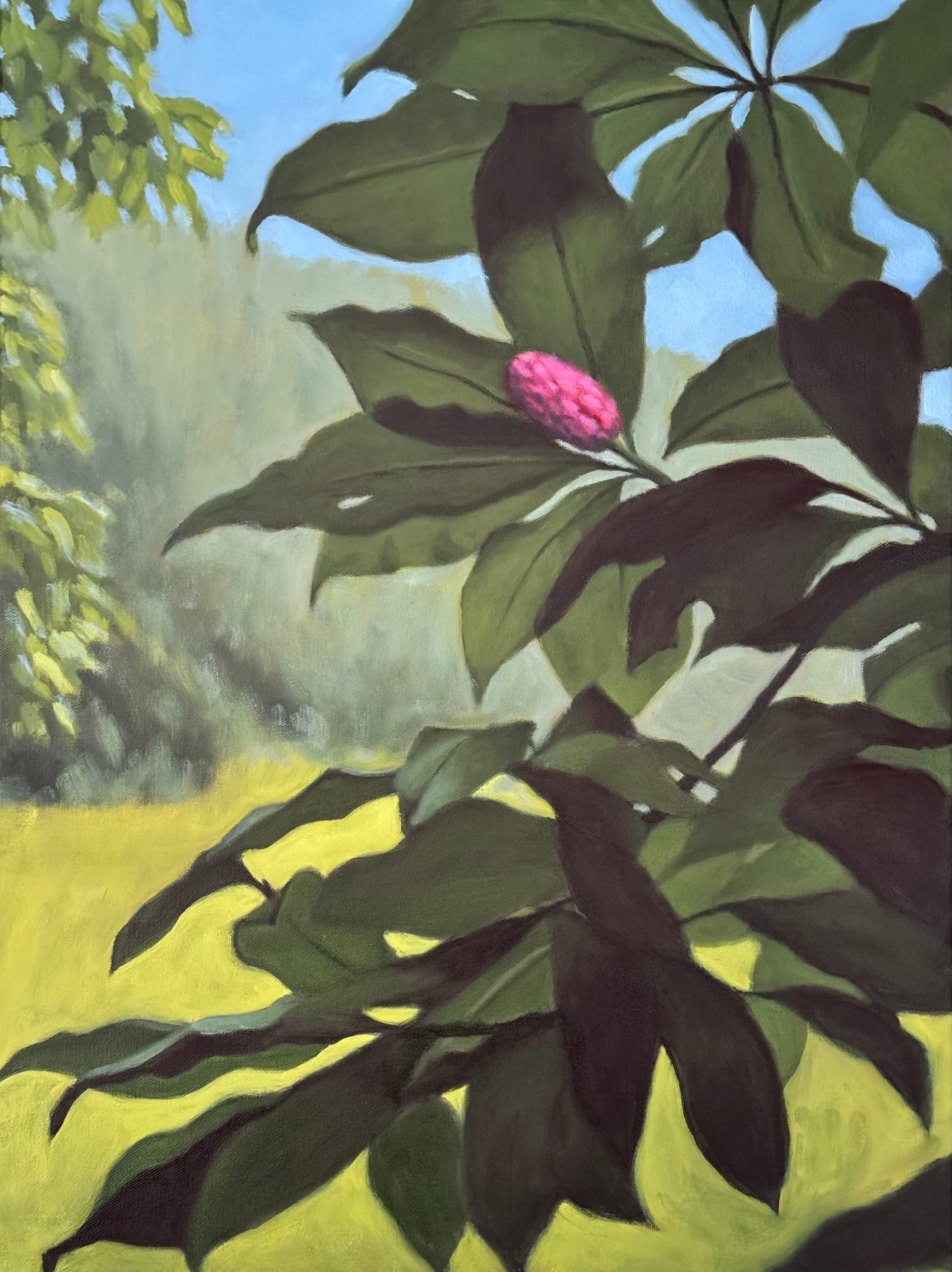 Tom Mather Giclee Prints