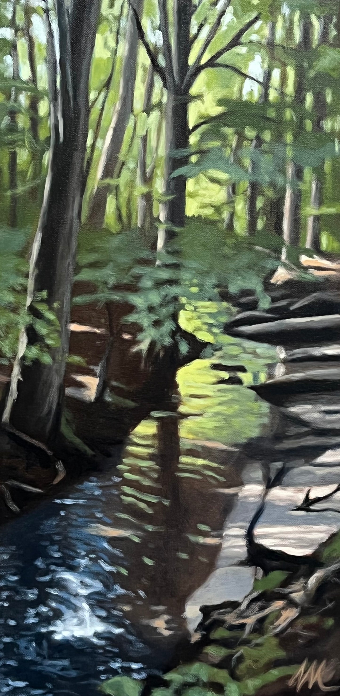 12x 24 Tom Mather Original Oil Paintings