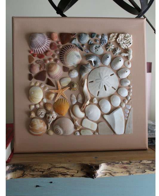 Seashell Collage Art