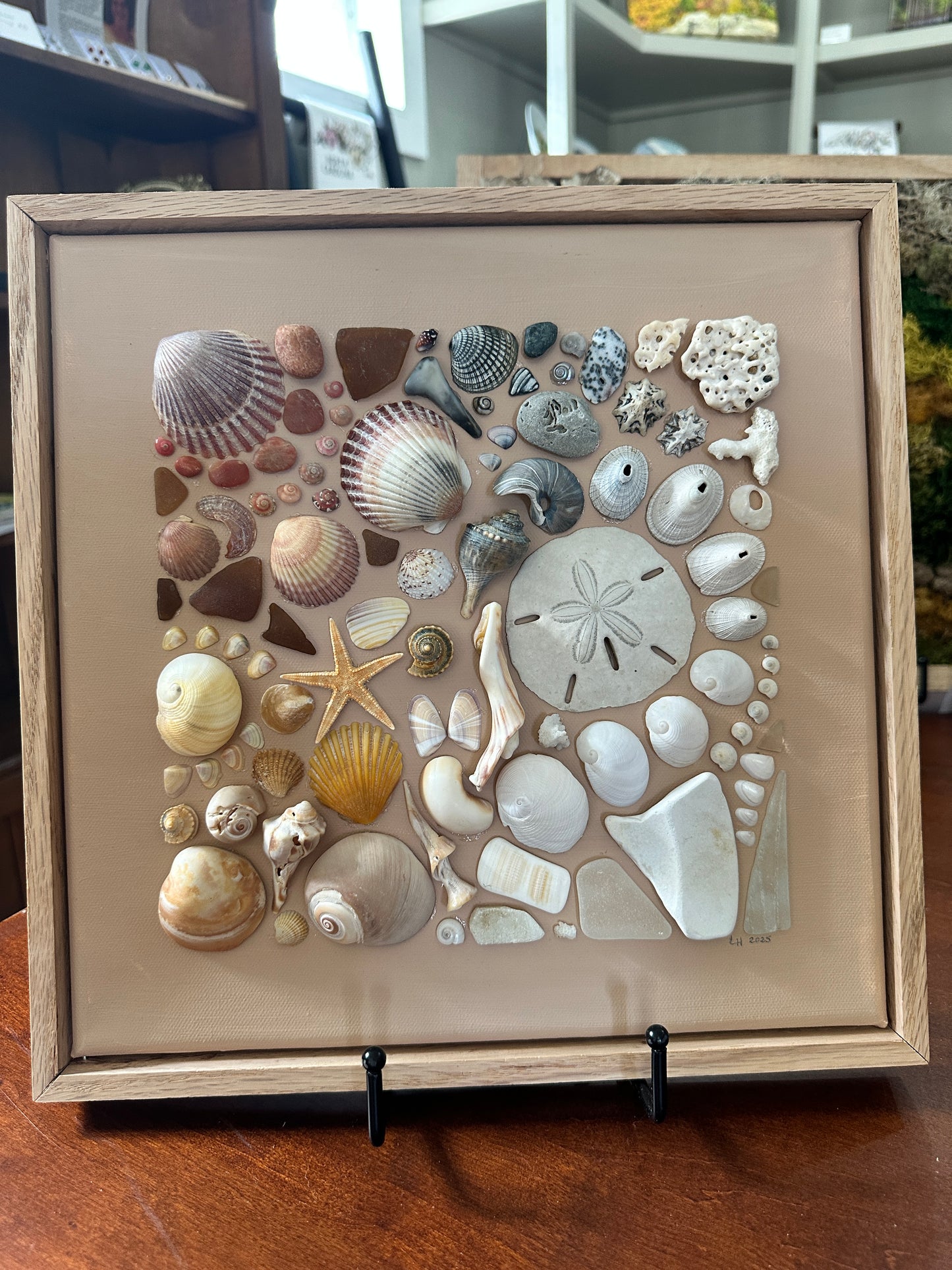Seashell Collage Art