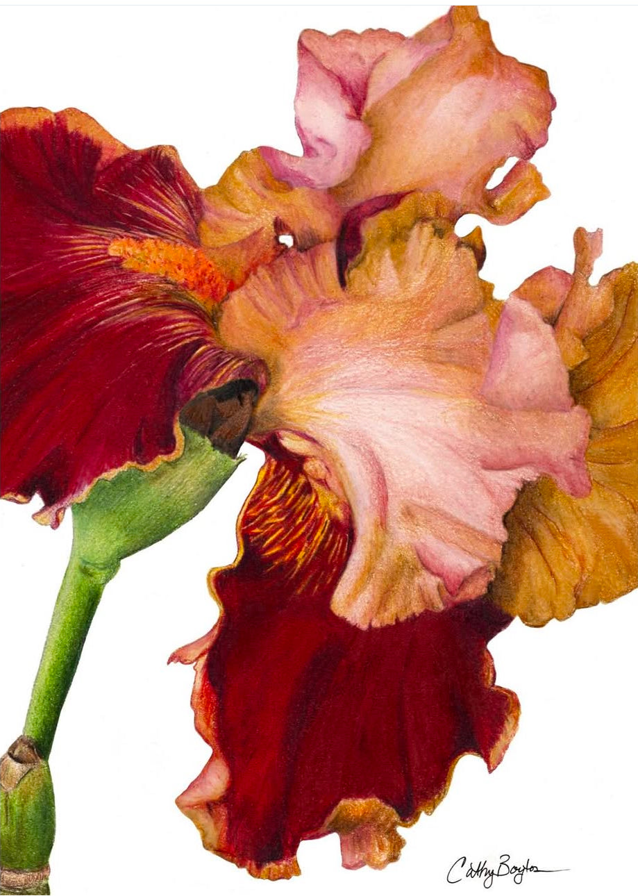 Cathy Boytos Matte Giclee Prints 9x12