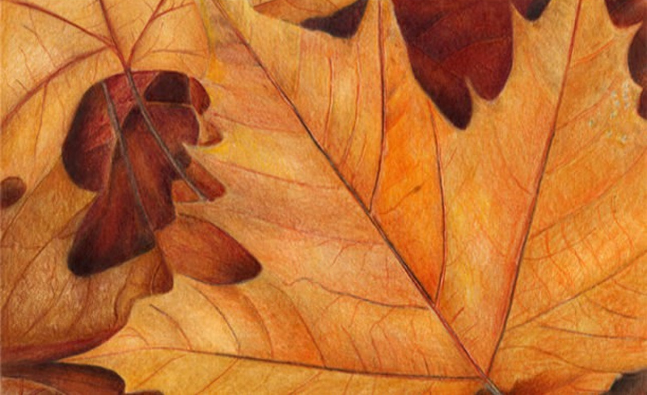 Cathy Boytos Matte Giclee Prints 9x12