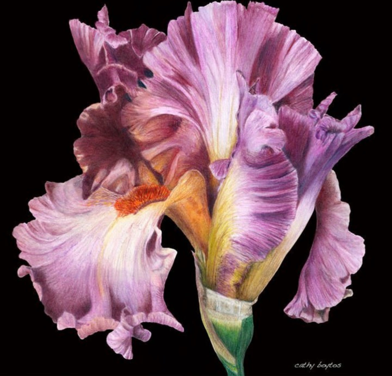 Cathy Boytos Matte Giclee Print 12x12