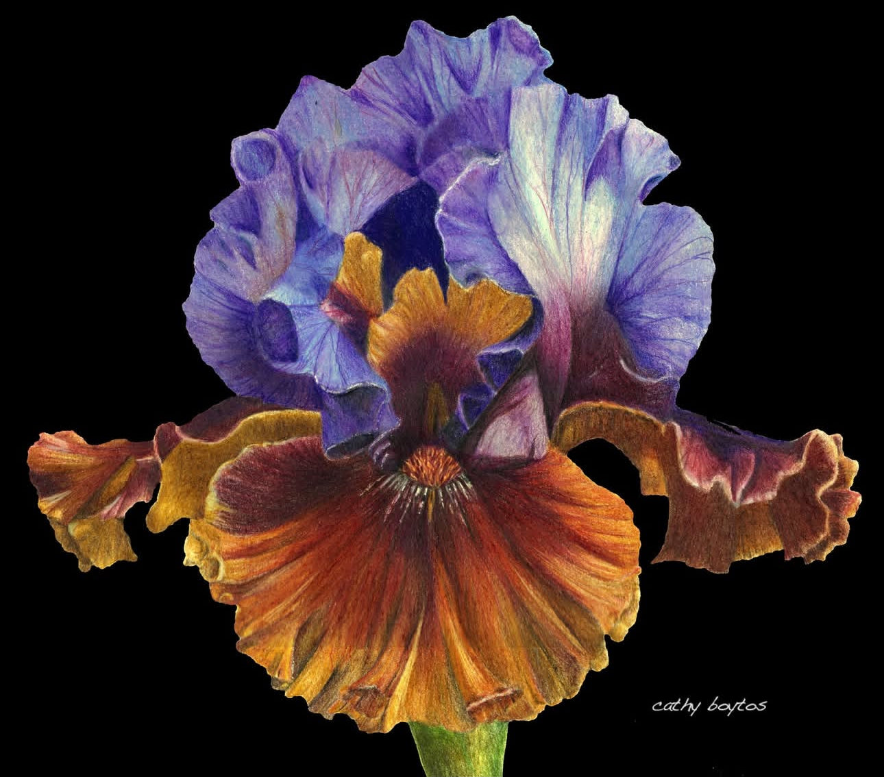 Cathy Boytos Matte Giclee Prints 11x14