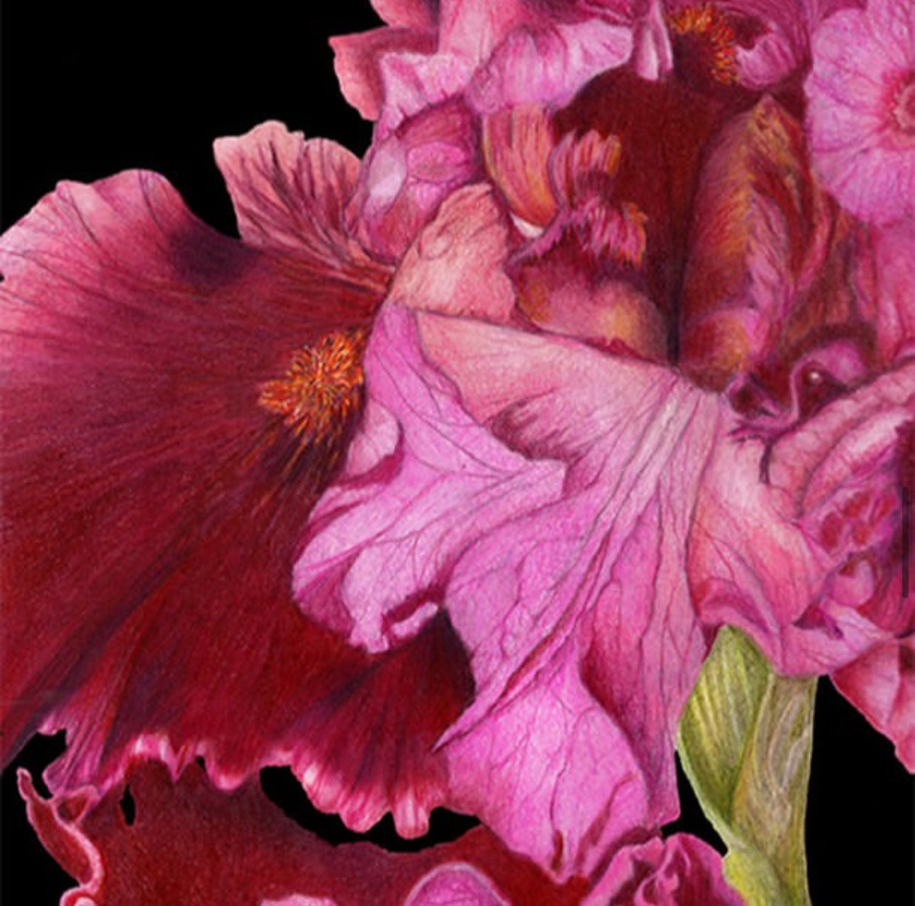 Cathy Boytos Matte Giclee Prints 9x12