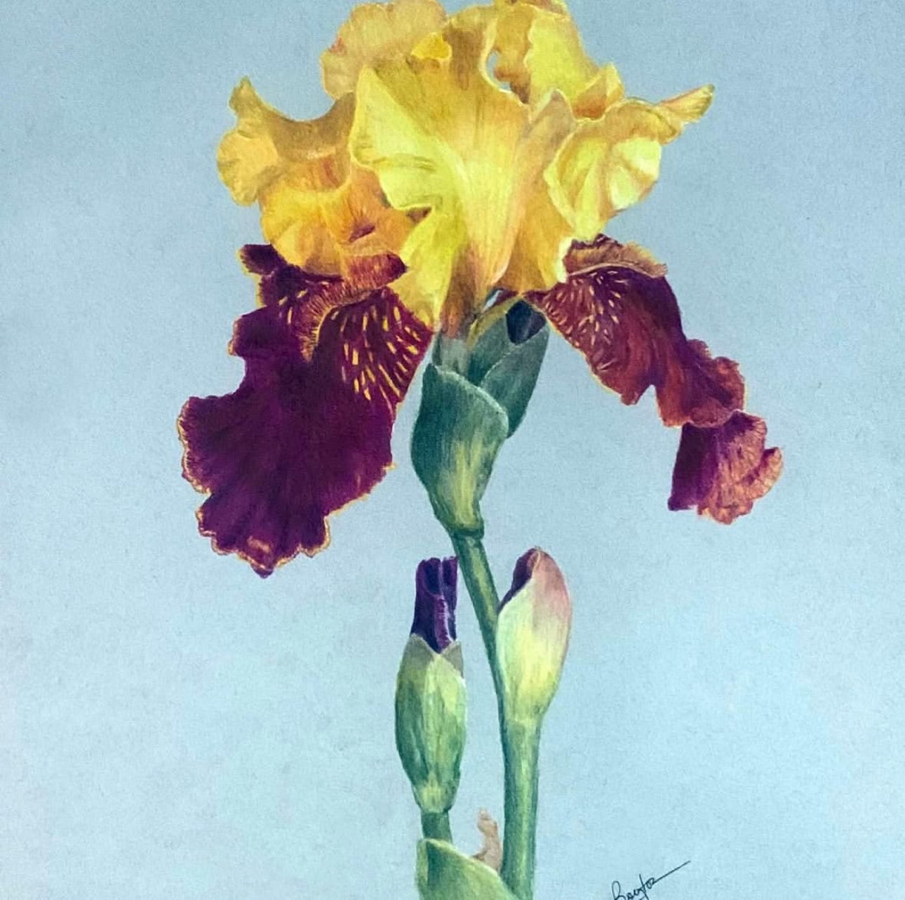 Cathy Boytos Matte Giclee Prints 11x14