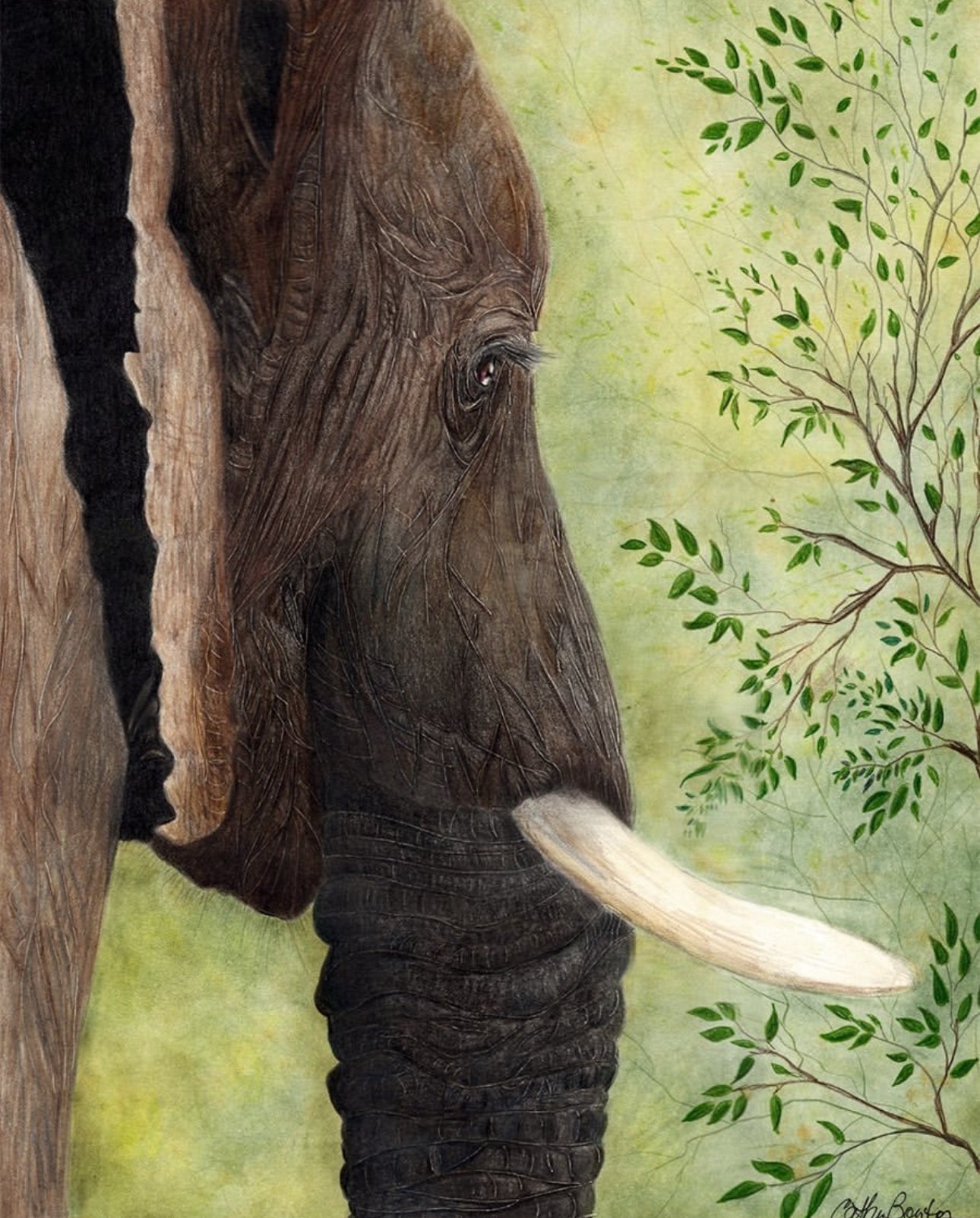 Cathy Boytos Matte Giclee Prints 9x12