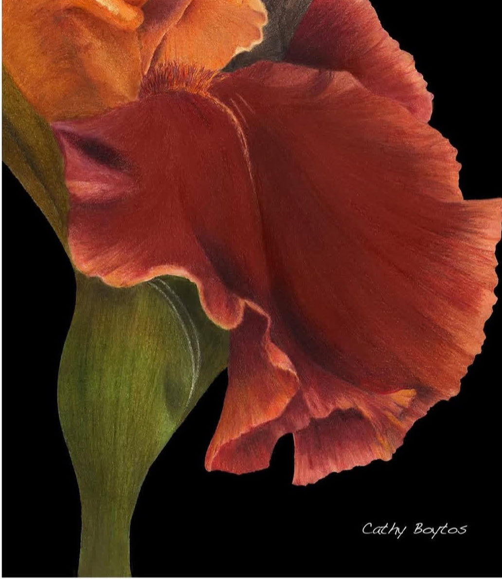 Cathy Boytos Matte Giclee Prints 11x14