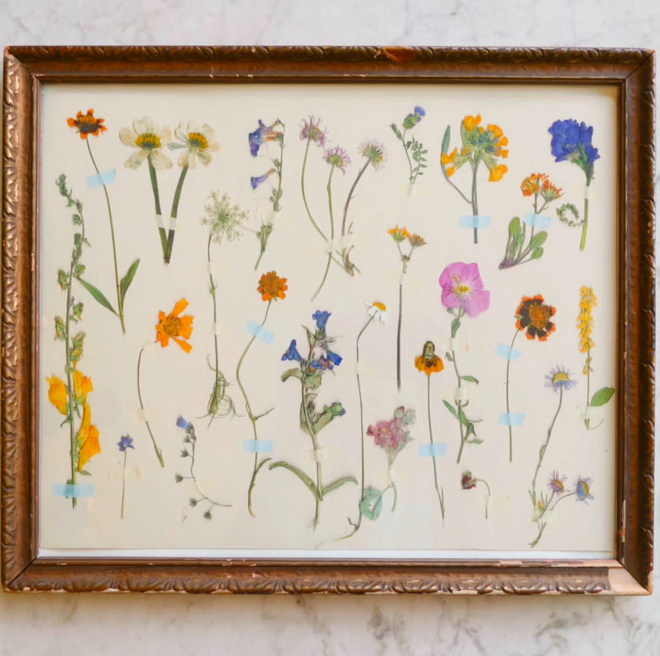 Brittany Smith Studio Art Prints