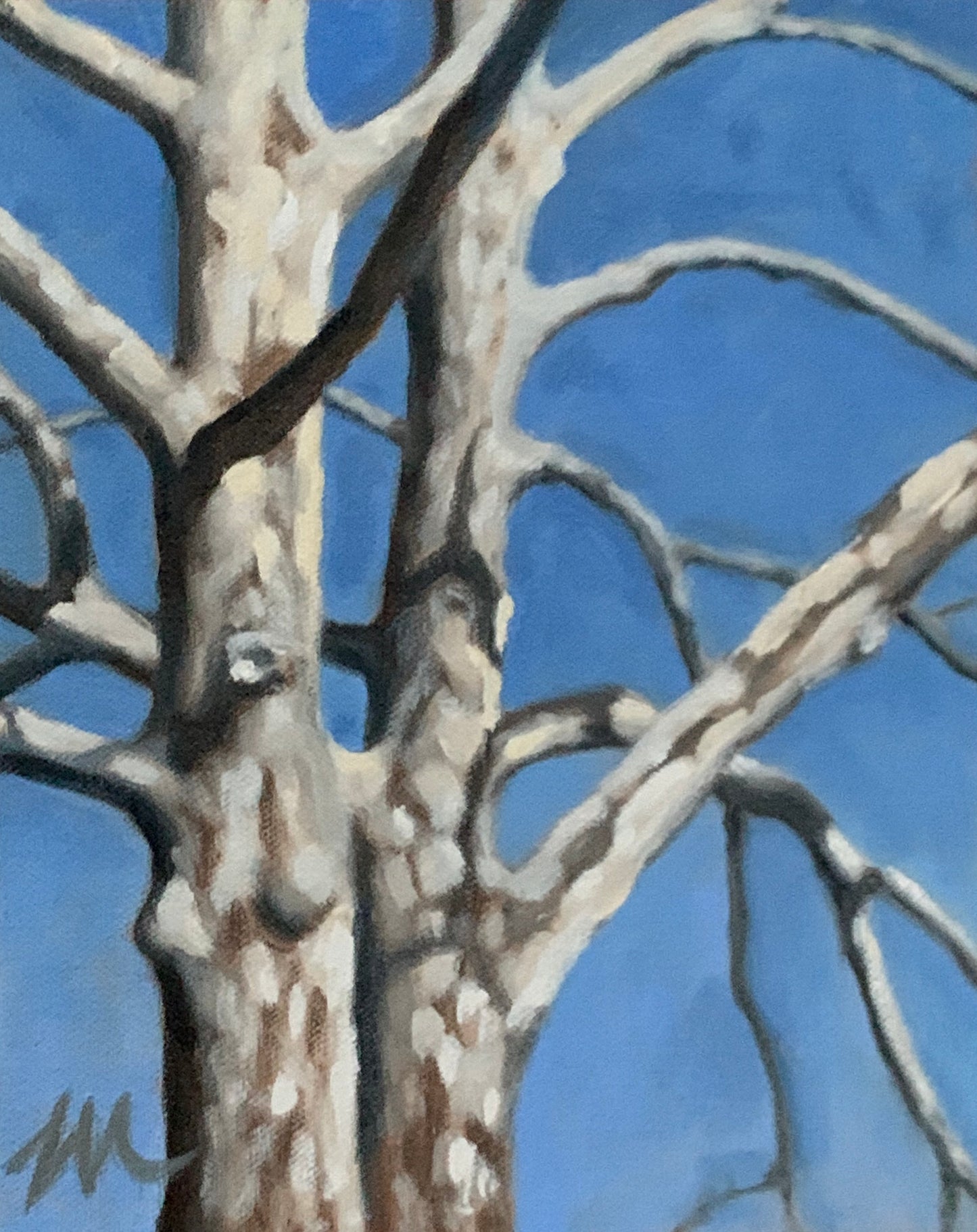 8x10 Tom Mather Original Oil Paintings