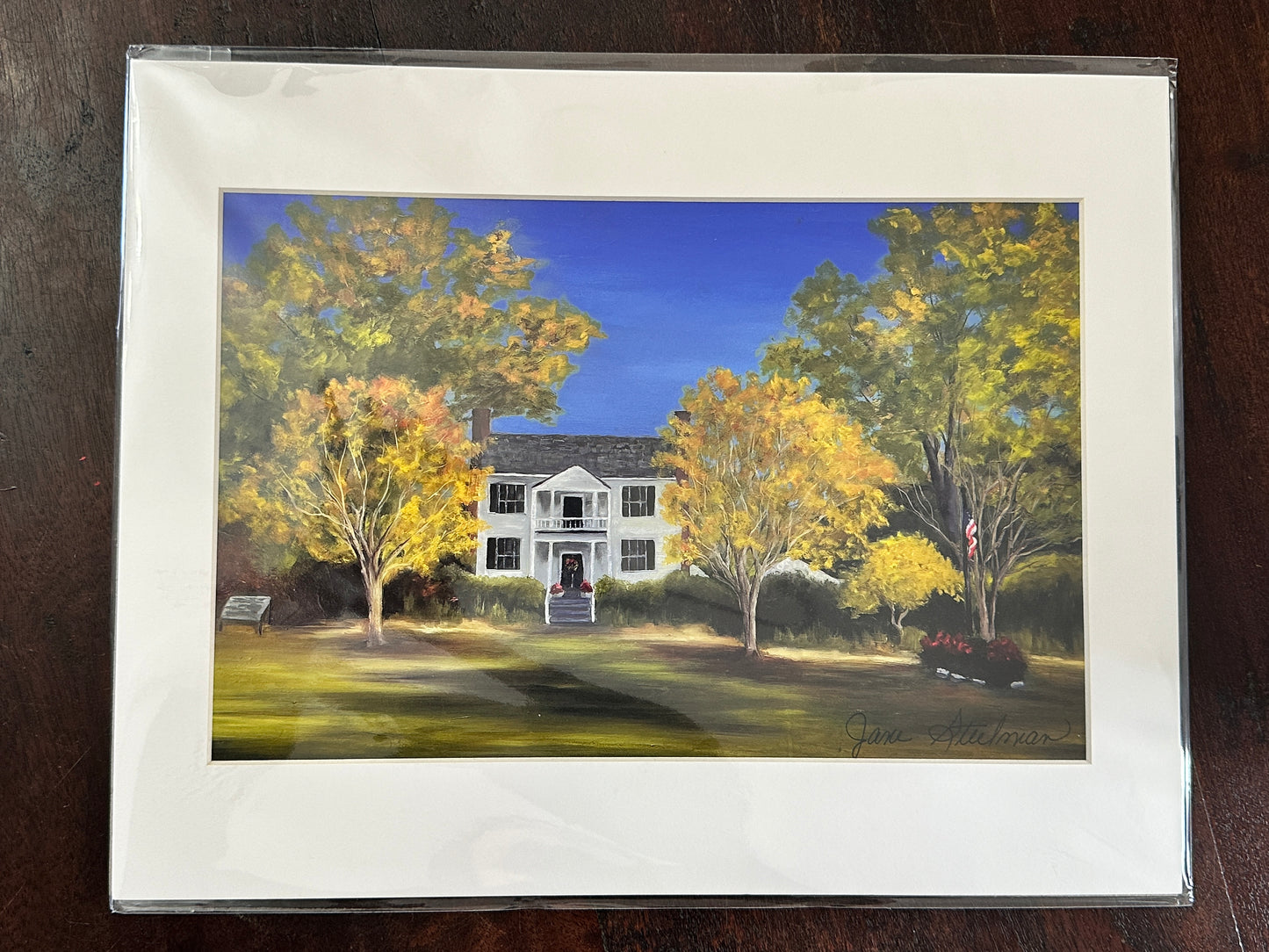 Jane Steelman Pastel Prints