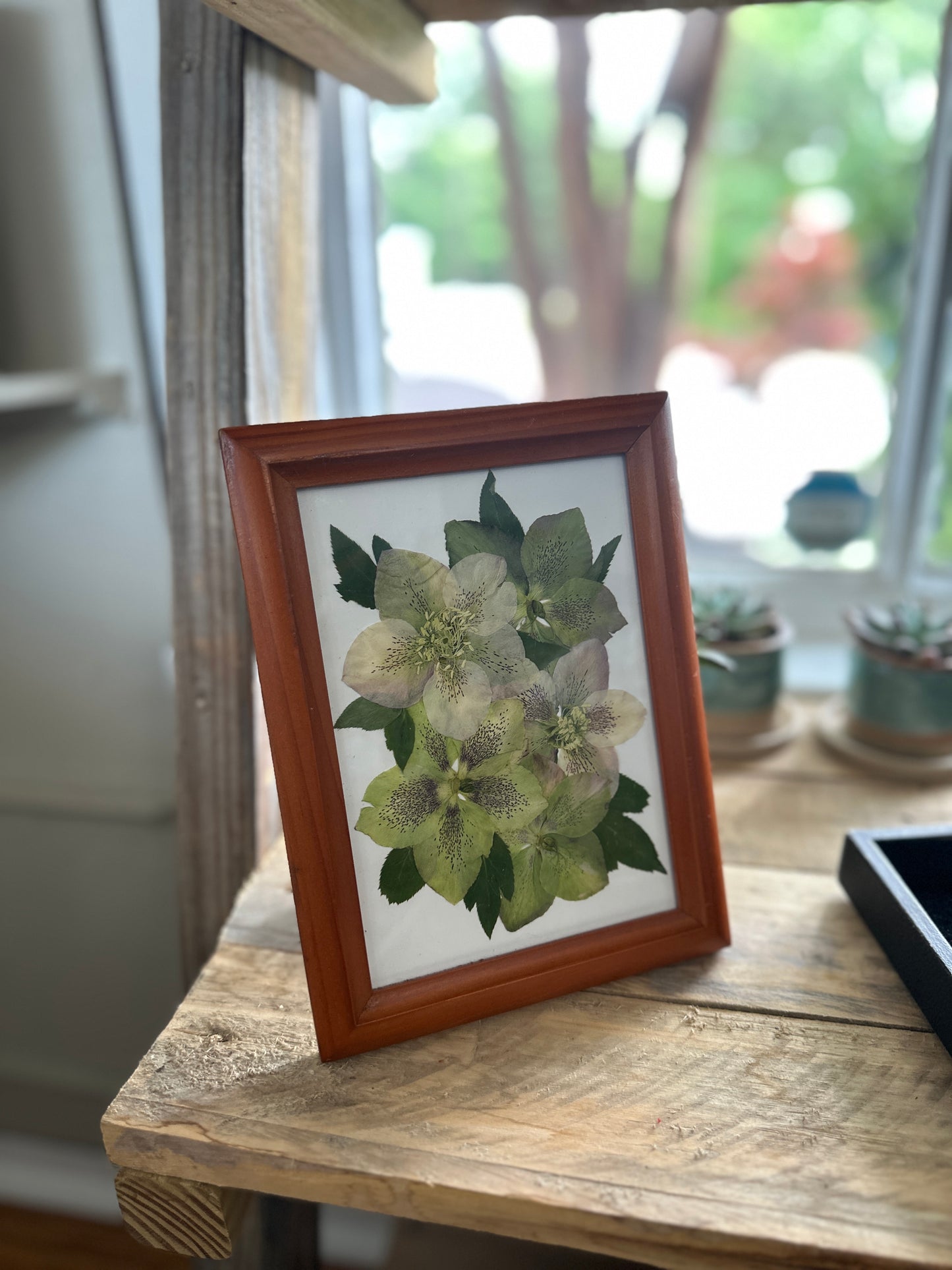 Real Flowers Shadow Box