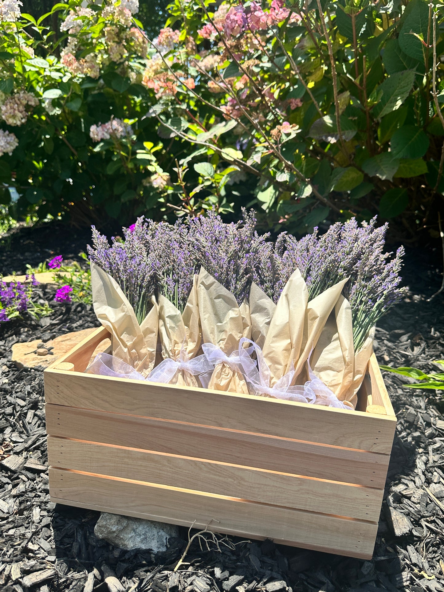 Lavender Bundle