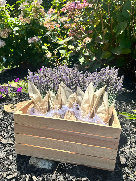 Lavender Bundle