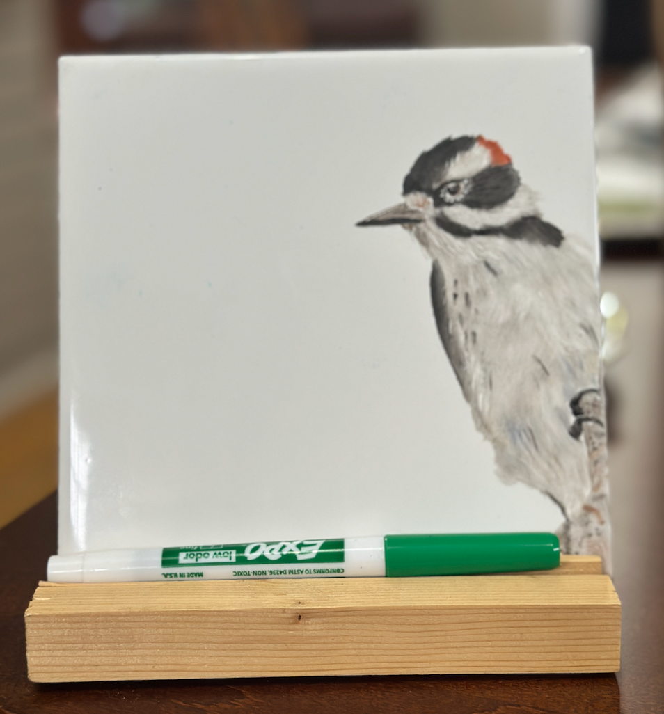 Hand Painted Dry Erase Tiles