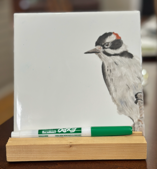 Hand Painted Dry Erase Tiles