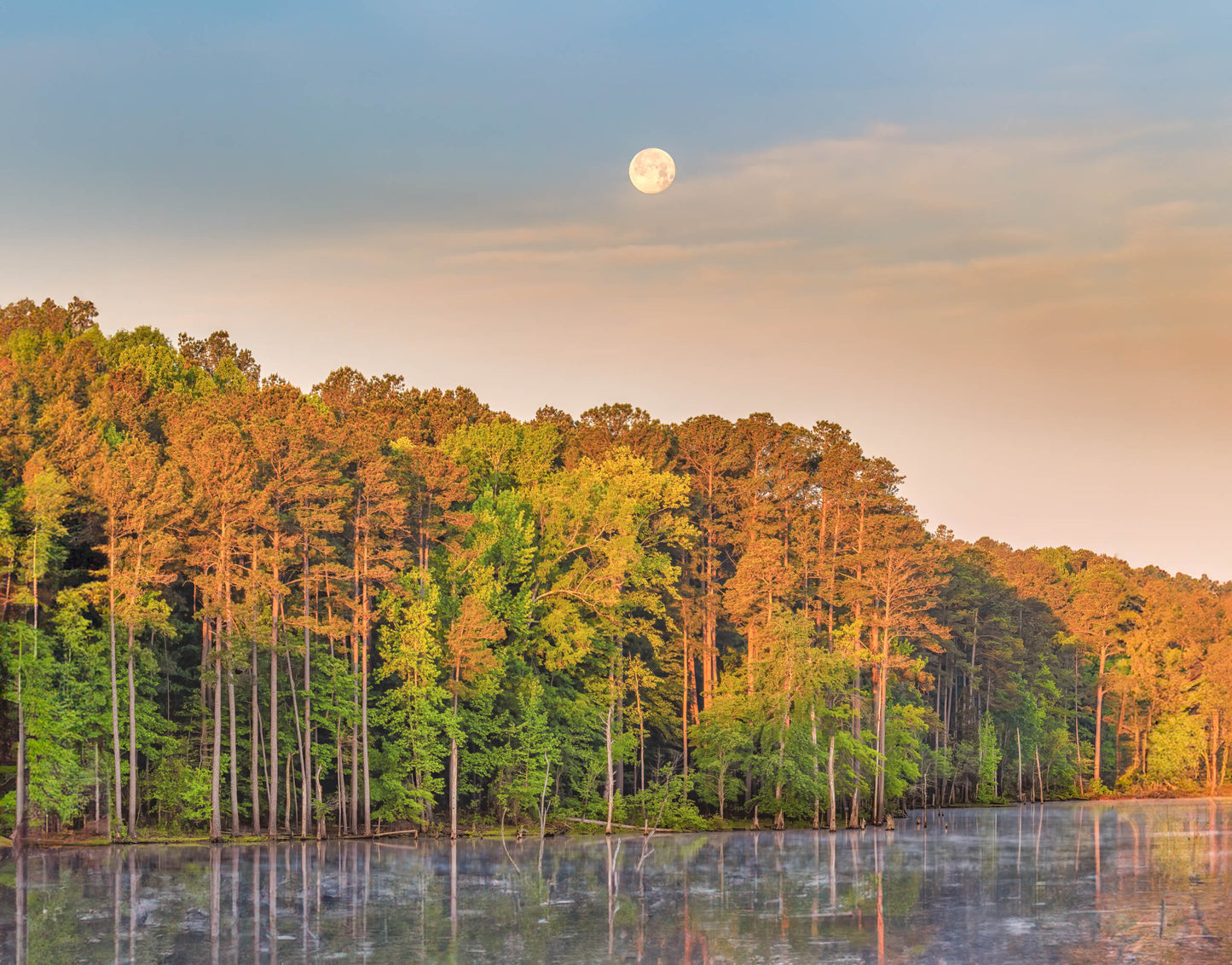 OBX Pixels Canvas Prints