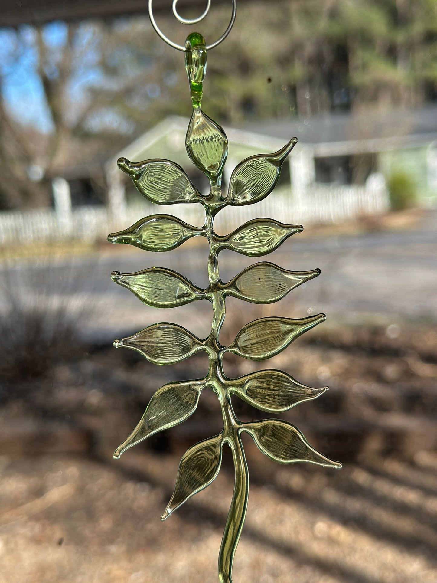 Hanging Framework Fern