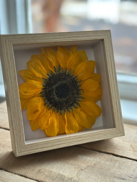 Real Flowers Shadow Box