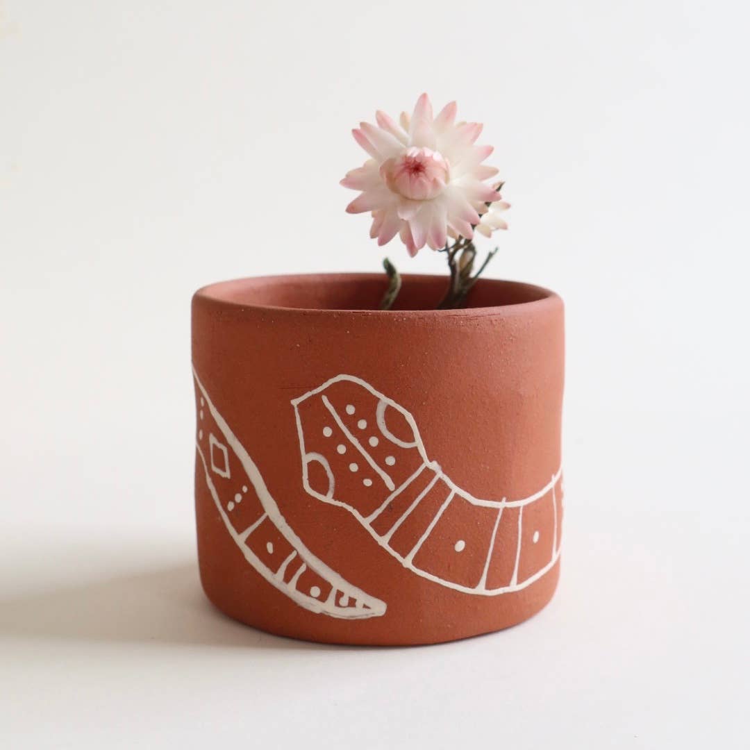 Snake Planter 