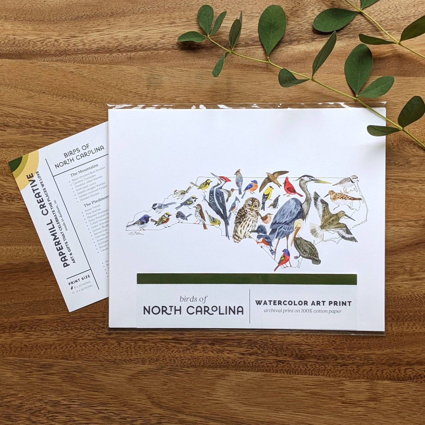 North Carolina Birds watercolor art print