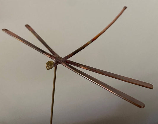 Small Dancing Dragonfly