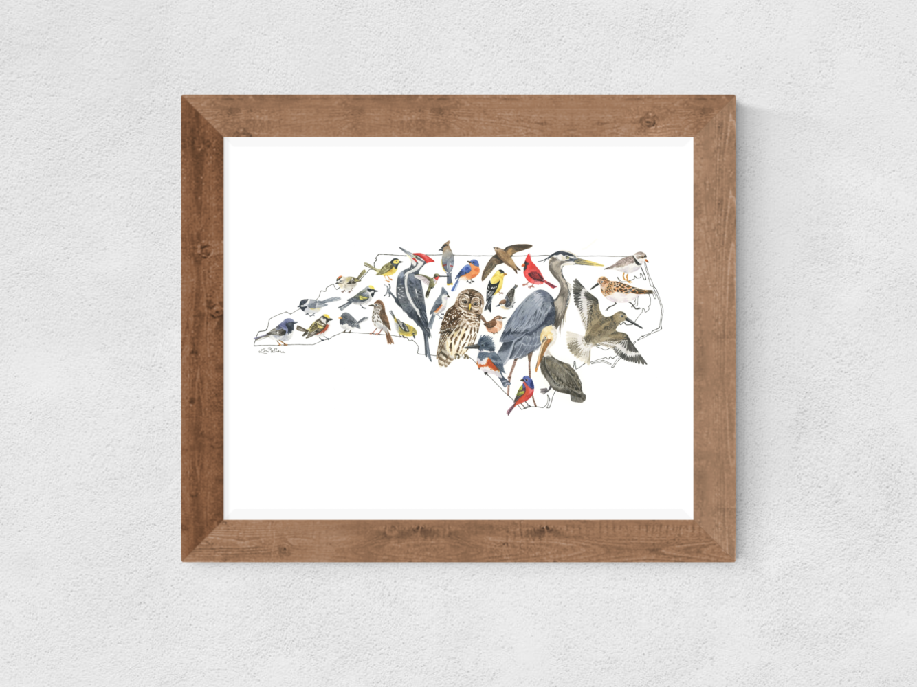 North Carolina Birds watercolor art print