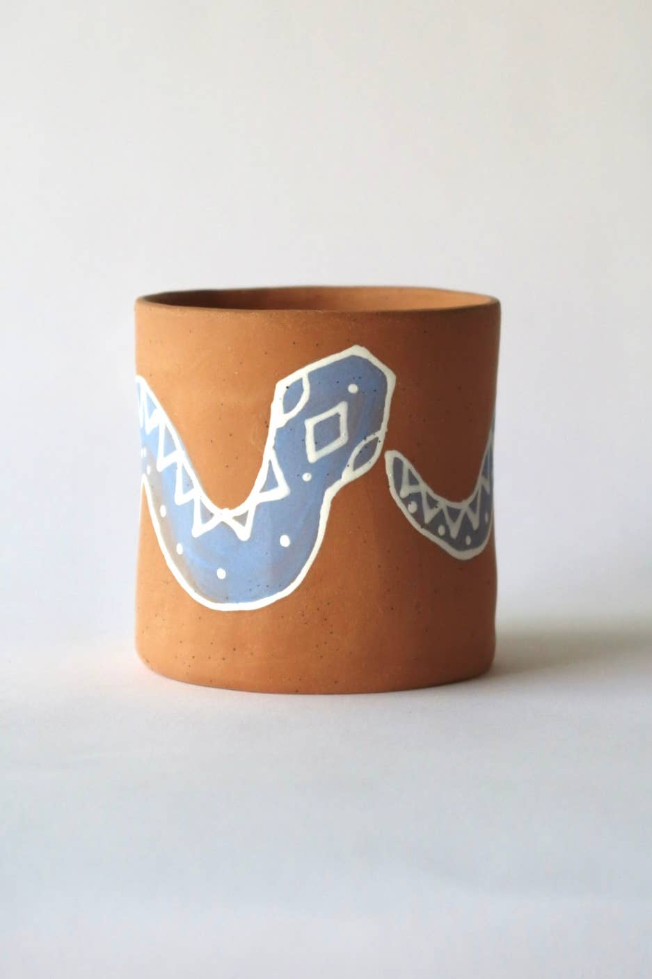 Colorful Snake Planter  