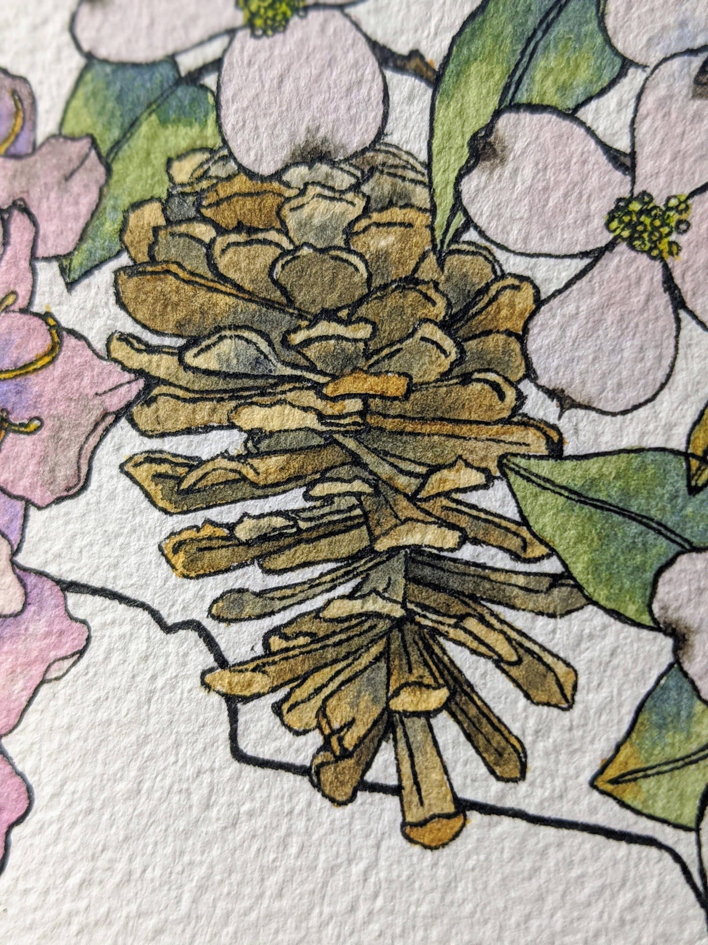 North Carolina Native Plants watercolor art print
